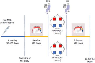 Effectiveness of Transcranial Direct Current Stimulation and Monoclonal Antibodies Acting on the CGRP as a Combined Treatment for Migraine (TACTIC): Protocol for a Randomized, Double-Blind, Sham-Controlled Trial